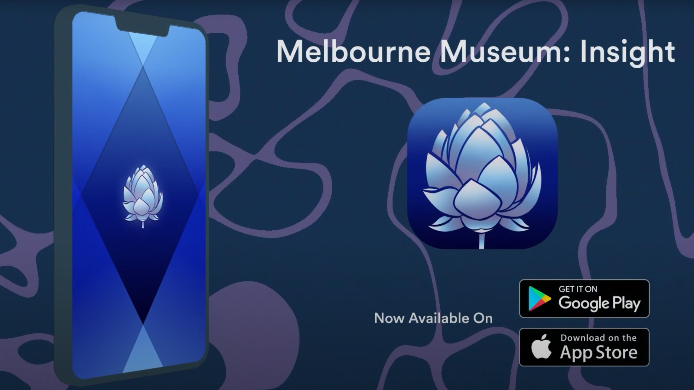 Melbourne Museum Insight